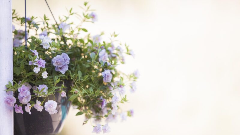 Sztuczne kwiaty pojedyncze jako dekoracje do salonu, biura i restauracji – jak zbudować kompozycje krok po kroku?