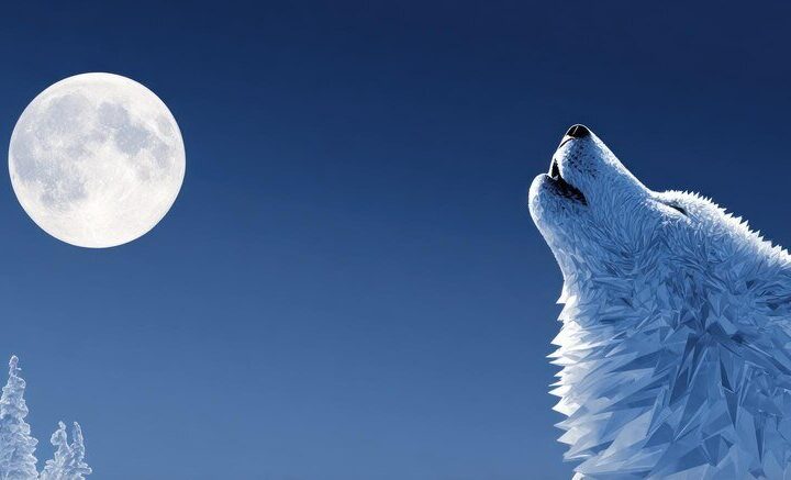 Sen o wilkach – znaczenie w senniku