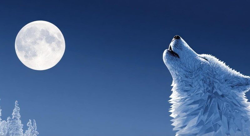 Sen o wilkach – znaczenie w senniku