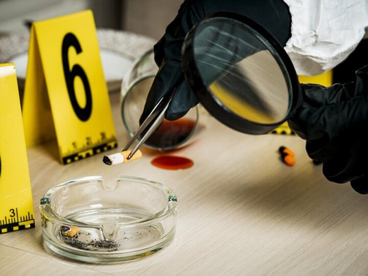 Czym się różni kryminalistyka od kryminologii?