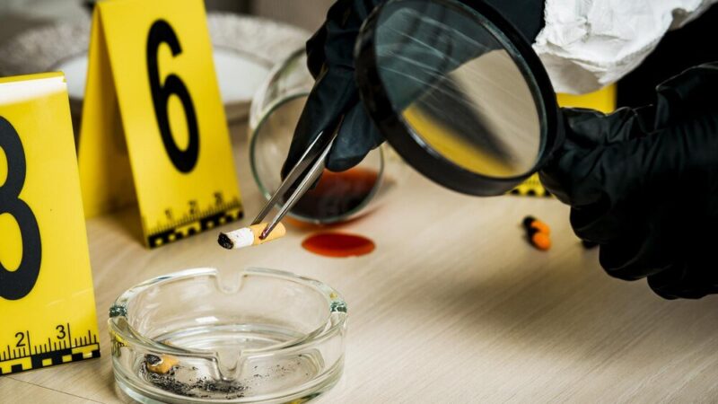 Czym się różni kryminalistyka od kryminologii?