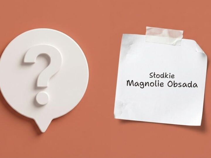 Słodkie magnolie – obsada i bohaterowie serialu